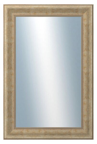 DANTIK - Zrkadlo v rámu, rozmer s rámom 40x60 cm z lišty KŘÍDLO malé zlaté patina (2774)