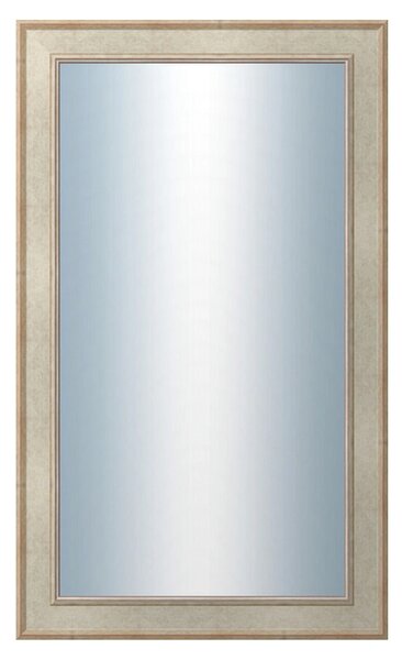 DANTIK - Zrkadlo v rámu, rozmer s rámom 60x100 cm z lišty TOOTH strieborná (2779)