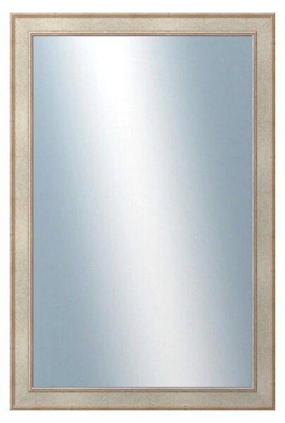 DANTIK - Zrkadlo v rámu, rozmer s rámom 60x120 cm z lišty TOOTH strieborná (2779)