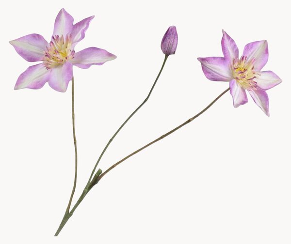 Rastlinné dekorácie Clematis, 2 ks