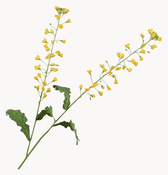 Rastlinné dekorácie Primula, 2 ks