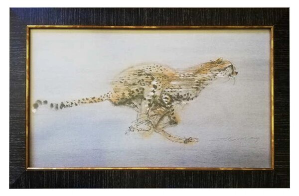 - Gepard | 44.0x72.0