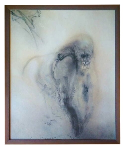 - gorila | 51.2x61.2