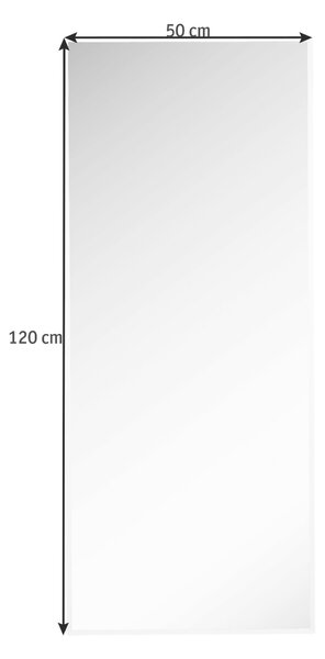 NÁSTENNÉ ZRKADLO 50/120/1 cm Carryhome - Zrkadlá na stenu