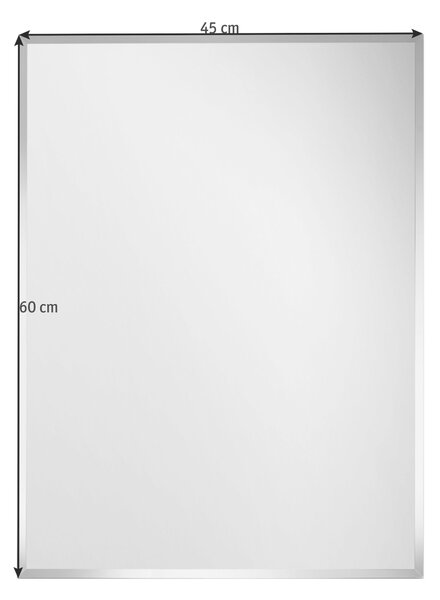 NÁSTENNÉ ZRKADLO 45/60/0,3 cm Carryhome - Zrkadlá na stenu