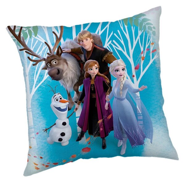 DEKORAČNÝ VANKÚŠ 40/40 cm - Textil do domácnosti
