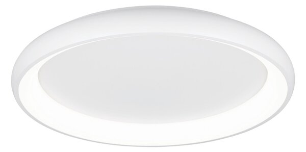 STROPNÉ LED SVIETIDLO, 75/9,5 cm Trio Leuchten - Interiérové svietidlá