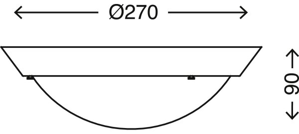 Briloner 2118-016 - Kúpeľňové stropné svietidlo SPLASH 1xE27/60W/230V IP23