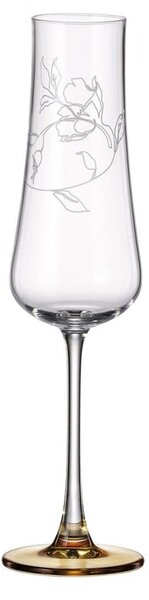 BOHEMIA IDUNA AMBER POHÁR NA ŠAMPANSKÉ 250ML SADA 6KS