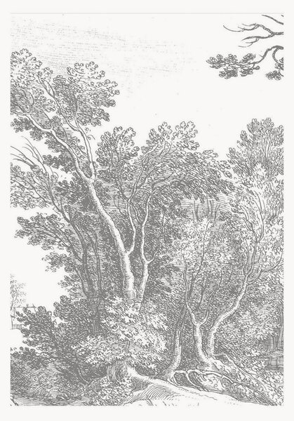 Vliesová tapeta Engraved Landscapes V