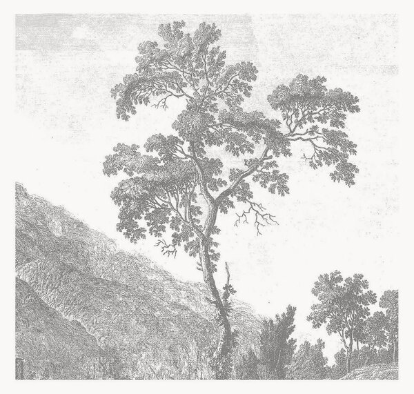 Vliesová tapeta Engraved Landscapes I