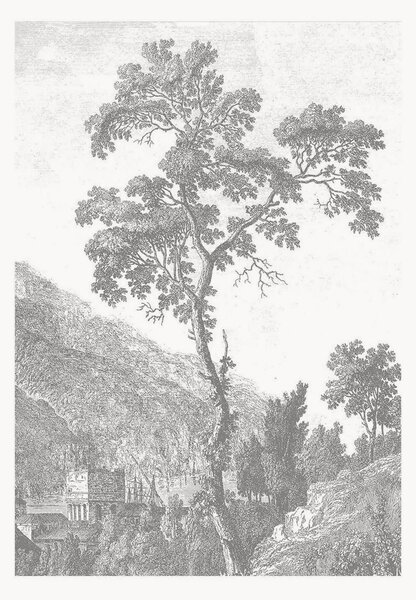 Vliesová tapeta Engraved Landscapes I