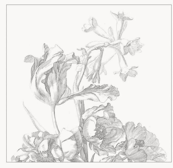 Vliesová tapeta Engraved Flowers