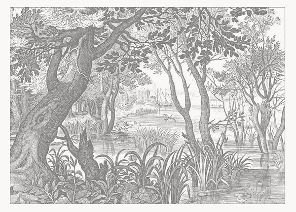Vliesová tapeta Engraved Landscapes