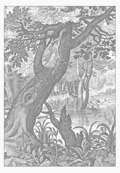 Vliesová tapeta Engraved Landscapes