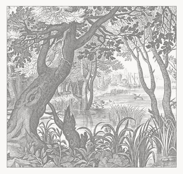 Vliesová tapeta Engraved Landscapes