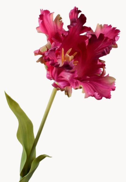 Rastlinné dekorácie Tulip Real Touch, 2 ks