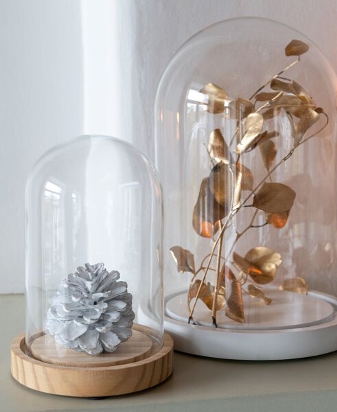 Prírodný drevený podnos so skleneným poklopom Bell Jar M - Ø 17,5*26 cm - J-Line by Jolipa