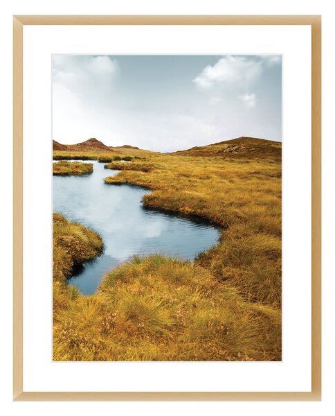 Obraz Grassy Field II 40x50cm