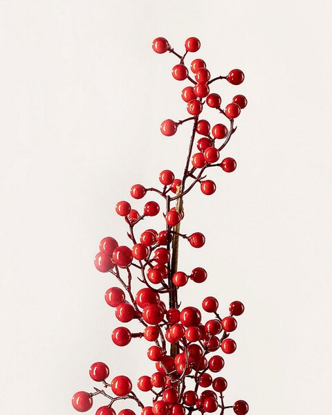 Dekoratívna vetvička Cranberry 66 cm