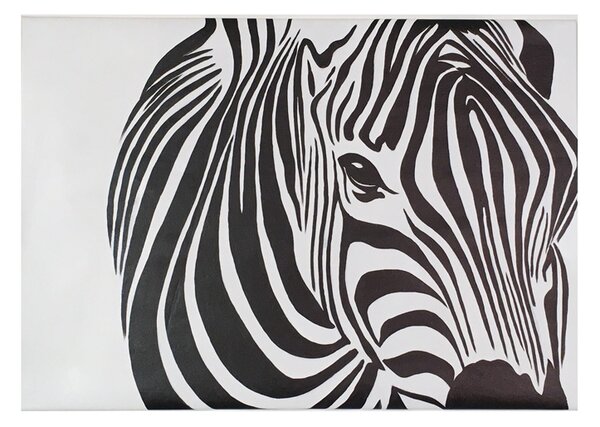 Obraz Zebra