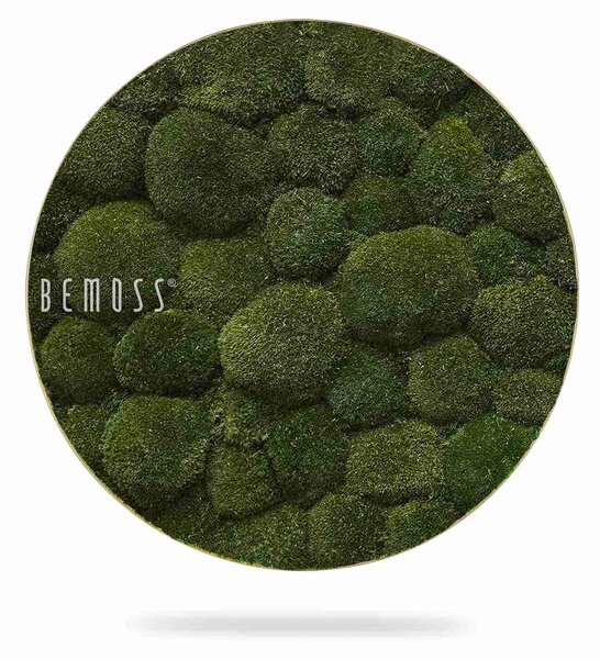 Machový obraz kruh BOLMOSS Natural Green - Priemer 40 cm