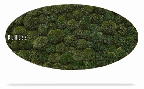 Machový obraz Elipsa BOLMOSS Natural - 50 x 100 cm