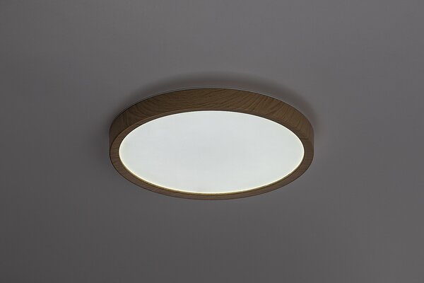 Rabalux MAUREC LED vonkajšie stropné svietidlo 75082
