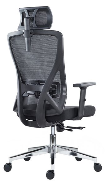 Kancelárska ergonomická stolička Neoseat FLEX PRO — čierna, nosnosť 150 kg