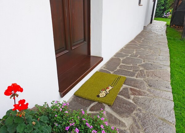 BO-MA koberce Rohožka Kokos Zelený pes – na von aj na doma - 40x60 cm