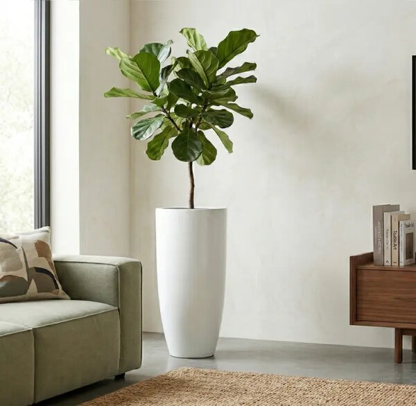 Dekoratívny kvetináč Pure Royal 80 × 40 cm White - Biela - 71 - 90 cm - Sklené vlákna - 31 do 50cm