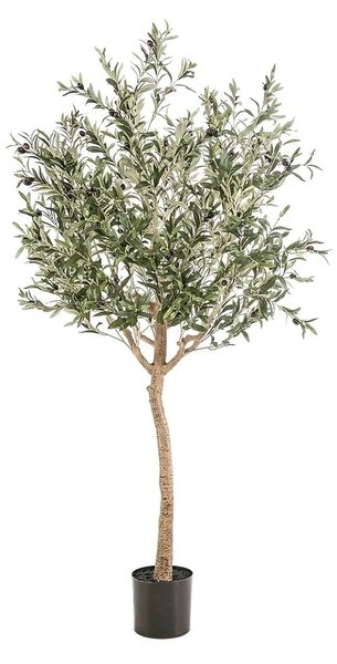 Umelý olivovník 180 cm v kvetináči - 151 - 180 cm