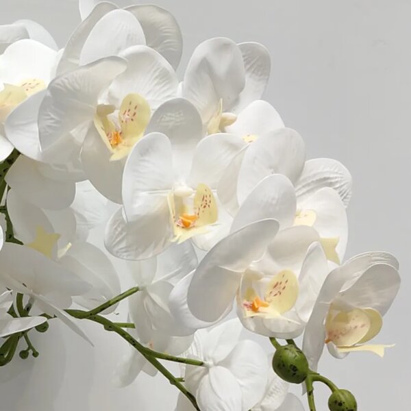 Umelá orchidea biela 80 cm Lia Real Touch - Biela - 71 - 90 cm