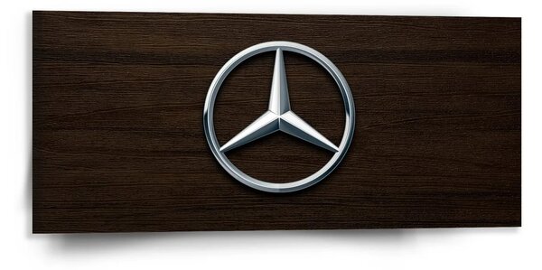 Sablio Obraz Logo 5 Drevo - 110x50 cm