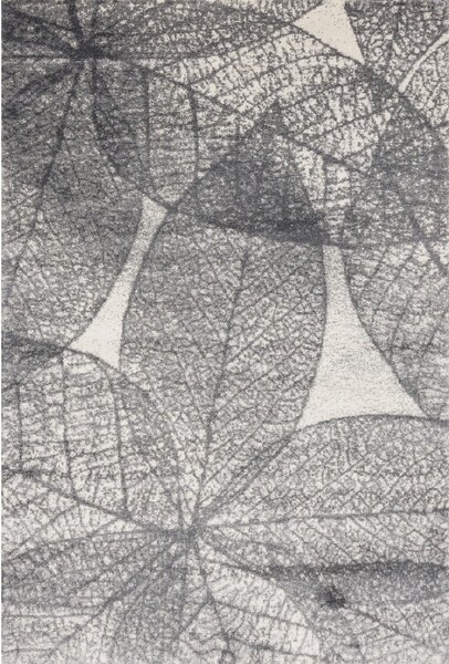 Sivý koberec 160x230 cm Lush – FD