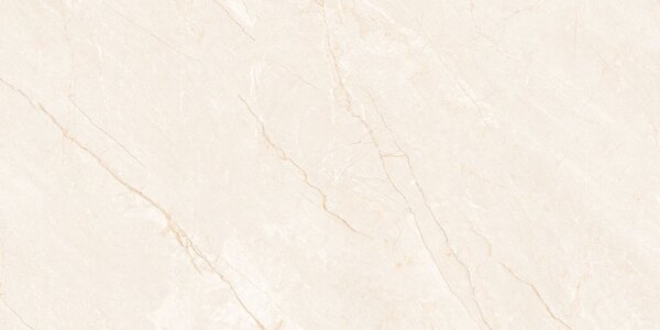 Carno Ivory 120x60 R 8mm R