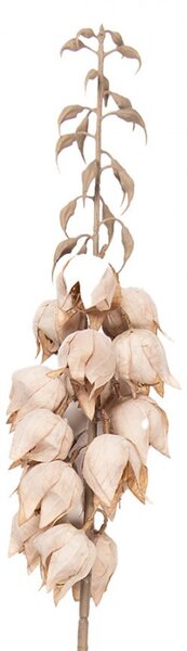Dekorácia umelá kvetina Yucca s béžovými kvetmi - 12*12*100 cm - Clayre & Eef