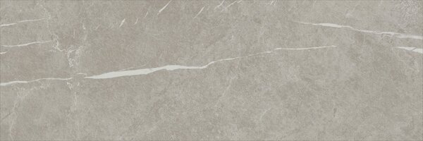 Eternal Taupe Natural 30x90 R