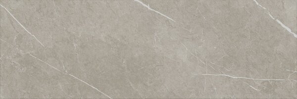 Eternal Taupe Natural 30x90 R