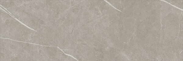 Eternal Taupe Natural 30x90 R