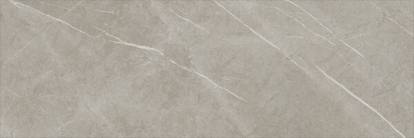 Eternal Taupe Natural 30x90 R