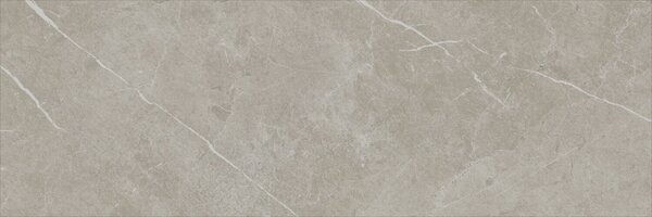 Eternal Taupe Natural 30x90 R