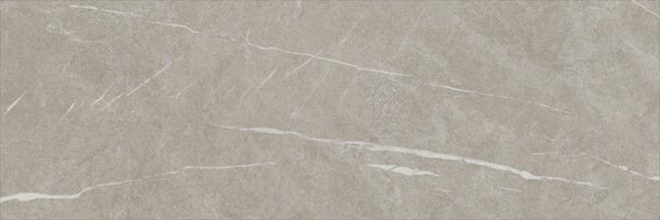 Eternal Taupe Natural 30x90 R