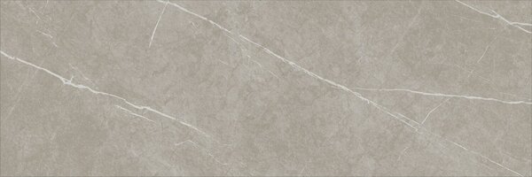 Eternal Taupe Natural 30x90 R