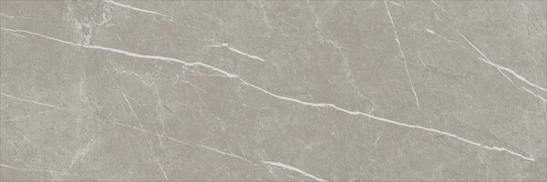 Eternal Taupe Natural 30x90 R