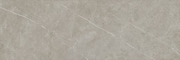 Eternal Taupe Natural 30x90 R