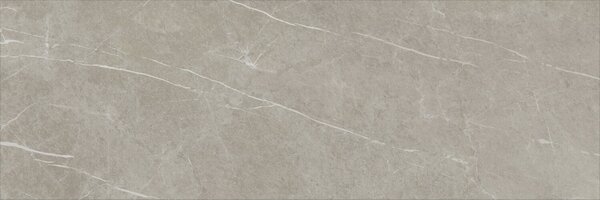 Eternal Taupe Natural 30x90 R