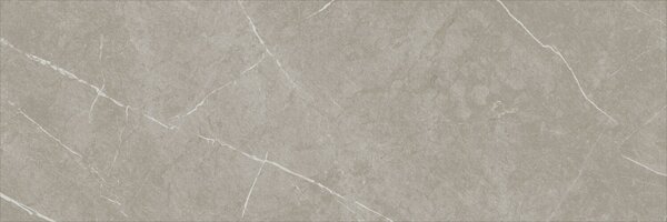 Eternal Taupe Natural 30x90 R