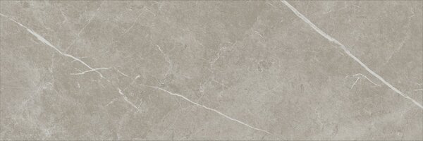 Eternal Taupe Natural 30x90 R