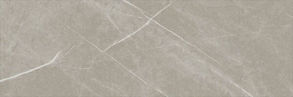 Eternal Taupe Natural 30x90 R